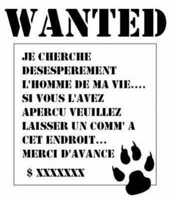 lol mdr
